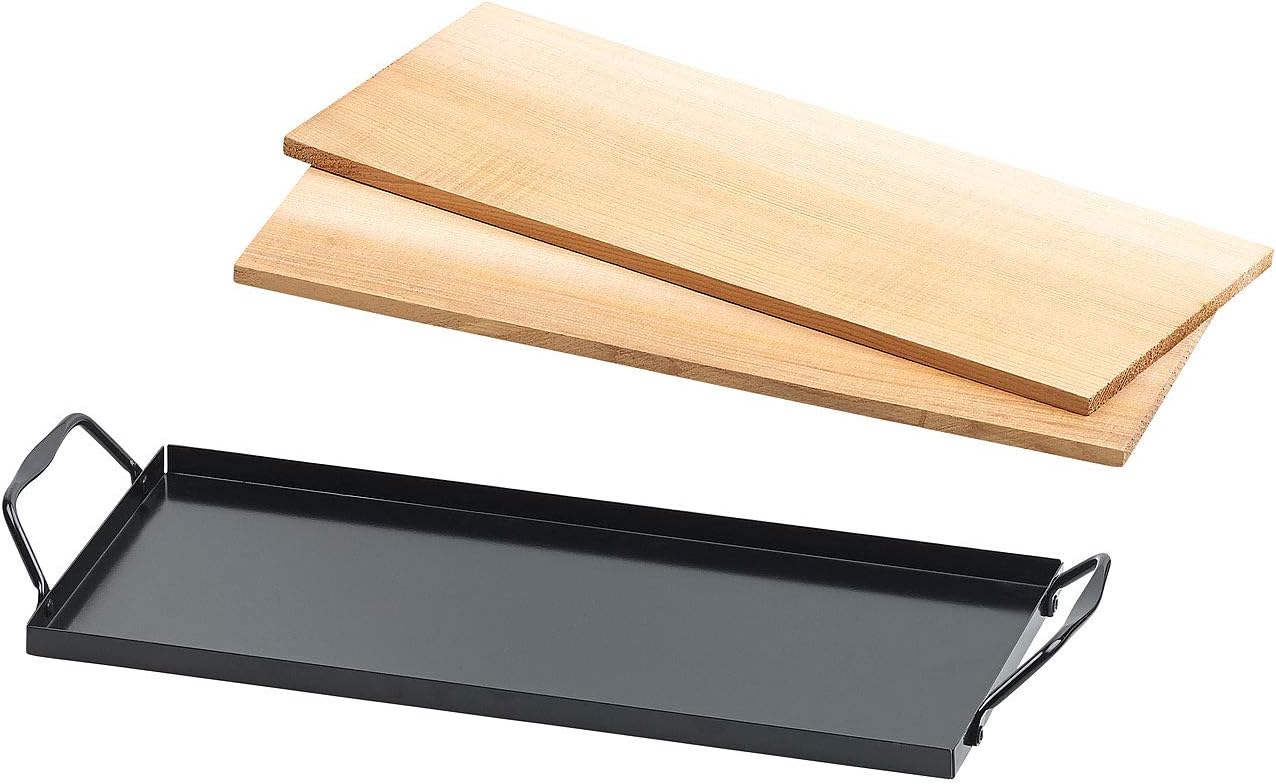 Rosenstein & Söhne Zedernholzbrett: 2 Zedernholz-Grillbretter für Holzkohle- & Gasgrills, mit Metallrahmen (Grill-Zubehör, Grillbretter Zeder, Grillplatten)