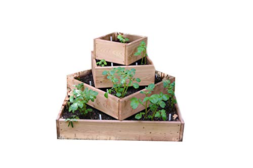 bio-garten Pyramiden-Hochbeet für Kartoffeln, Kräuter und Gemüse/aus Lärchenholz / 120 x 120 cm inkl. Wühlmausgitter